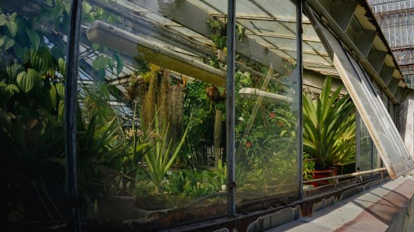 Promotion serre ACD : offrez à vos plantes les meilleures conditions