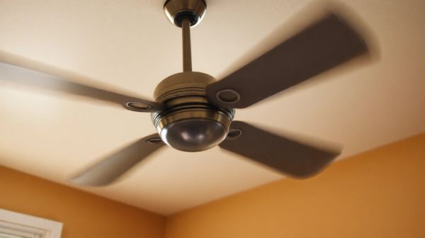 Top raisons d'opter pour un ventilateur de plafond toute l'année